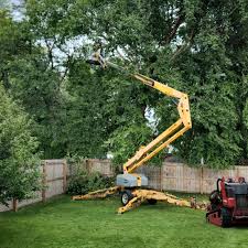 Best Emergency Tree Removal  in Lincoln Village, CA